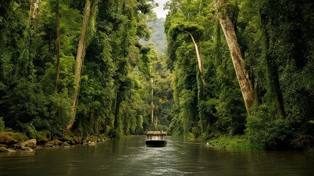 Amazon Expedition Into the Heart of the Rainforest